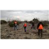 Image 2 : Texas Quail Hunt for 2 Hunters/2 Nights and 3 Hunting Sessions