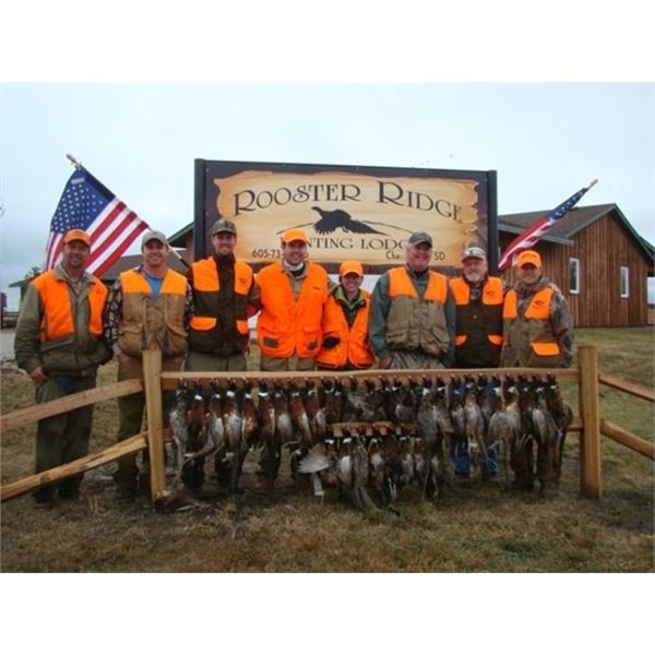 South Dakota Pheasant Hunt for 4 Hunters, 3 Days & 4 Nights