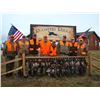 Image 1 : South Dakota Pheasant Hunt for 4 Hunters, 3 Days & 4 Nights