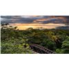 Image 9 : Crocodile Bay Stay and Fish Package in Costa Rica