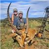 Image 11 : South Africa Premium Plains Game Safari, 7 Days, 4 Hunters