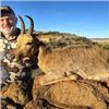 Image 4 : South Africa Premium Plains Game Safari, 7 Days, 4 Hunters