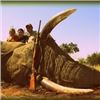 Image 2 : Zimbabwe Exportable Bull Elephant Hunt, 10 Days, 1 Hunter