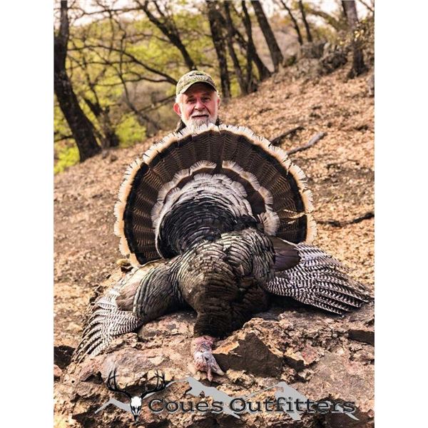 Mexico Gould's Turkey Hunt, 3 Days, 1 Hunter