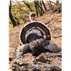Image 1 : Mexico Gould's Turkey Hunt, 3 Days, 1 Hunter