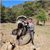 Image 2 : Mexico Gould's Turkey Hunt, 3 Days, 1 Hunter