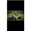 Image 2 : Tanzania Cape Buffalo Hunt, 9 Days, 1 Hunter