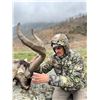Image 1 : Spain Gredos Ibex Hunt Plus Touring, 4 Days, 2 Hunters