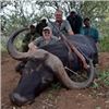 Image 2 : South Africa Free-Range Cape Buffalo Hunt, 10 Days, 1 Hunter (2026 only)