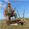 Image 2 : Argentina Blackbuck, Boars and Ram, 5 Days, 2-4 Hunters