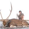 Image 8 : Argentina Blackbuck, Boars and Ram, 5 Days, 2-4 Hunters