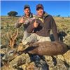 Image 8 : Sweden Roe Deer Hunt, 2 Days, 1 Hunter
