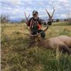 Image 2 : Utah Backcountry Elk Hunt, 5 Days, 2 Hunters