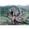 Image 1 : New Zealand Red Stag Hunt, 5 Days, 2 Hunters, 2 Nonhunters