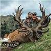 Image 2 : New Zealand Red Stag Hunt, 5 Days, 2 Hunters, 2 Nonhunters