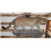 Image 1 : Taxidermy Full Mountain Lion Mount