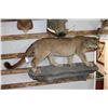 Image 2 : Taxidermy Full Mountain Lion Mount