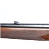 Image 10 : Winchester Model 70 'Featherweight' .308