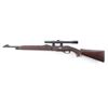 Image 2 : Remington Nylon 10 .22 S/L/LR NVSN
