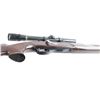 Image 8 : Remington Nylon 10 .22 S/L/LR NVSN