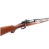 Image 6 : Winchester 70 'Sporter Varmint' .22-250 #G1947642