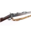 Image 9 : Springfield 1873 Trapdoor .45-70 Gov't