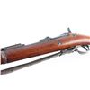 Image 4 : Springfield 1884 Trapdoor .45-70 Gov't