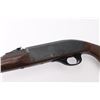 Image 4 : Remington Nylon 66 .22 LR #A2381610
