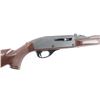 Image 7 : Remington Nylon 66 .22 LR #A2381610