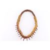 Image 1 : Native American Bear Claw Necklace.