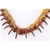 Image 2 : Native American Bear Claw Necklace.