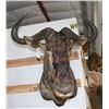 Image 2 : Taxidermy Wildebeest Shoulder Mount