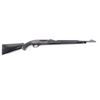 Image 1 : Remington Nylon 66 .22 LR #A2282525