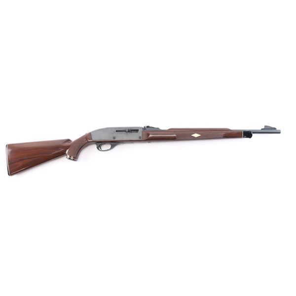Remington Nylon 66 .22 LR NVSN