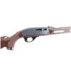 Image 7 : Remington Nylon 66 .22 LR NVSN