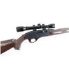 Image 7 : Remington Nylon 66 .22 LR #2102763