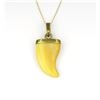 Image 1 : Unique Tooth Pendant featuring a Tooth