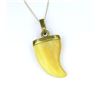 Image 3 : Unique Tooth Pendant featuring a Tooth