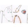 Image 4 : Necklace Lot!