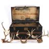 Image 1 : Lot of Antlers in Trunk.