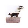 Image 2 : Full Mounted Skunk.