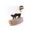 Image 3 : Full Mounted Skunk.