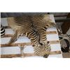 Image 1 : Taxidermy Zebra Hide