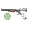 Image 1 : Benjamin Franklin Model 137 Air Pistol