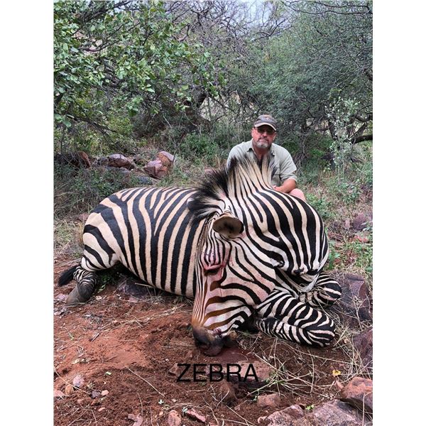 Safari Anyone 9 Day Safari for 4 People