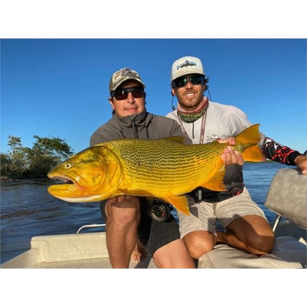 Northern Territories Argentina Wild Boar Hunt and Golden Dorado Fishing for 4 People