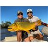 Image 1 : Northern Territories Argentina Wild Boar Hunt and Golden Dorado Fishing for 4 People