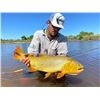 Image 3 : Northern Territories Argentina Wild Boar Hunt and Golden Dorado Fishing for 4 People