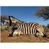 Image 5 : 10 Day Elite South African Safari for 2 people