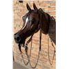 Image 2 : Prison Made Cowboy Bit Bridle Headstall